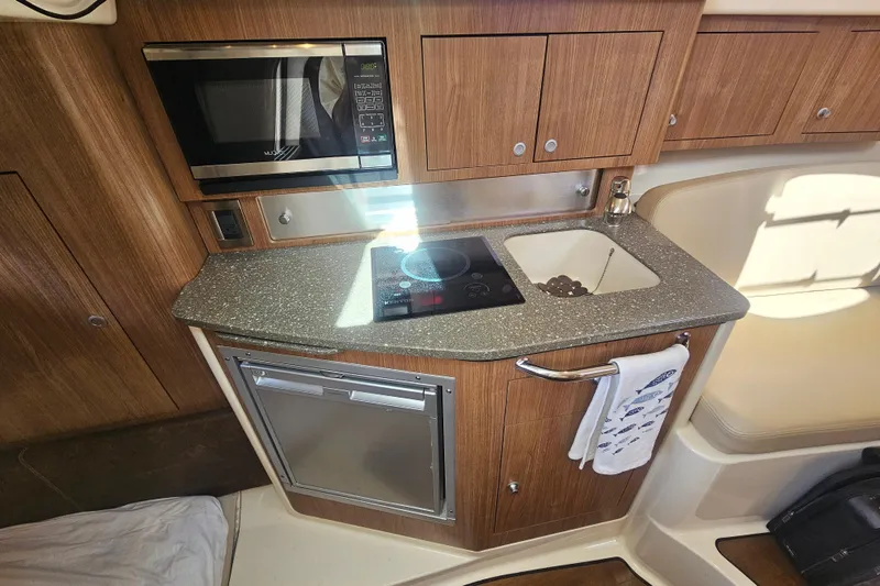 Day For It Yacht Photos Pics 2018 Boston Whaler 315 Conquest galley with microwave, sink, and compact fridge.