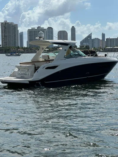 Caledonia II Yacht Photos Pics 2016 Sea Ray 350 Sundancer yacht on water with city skyline background.