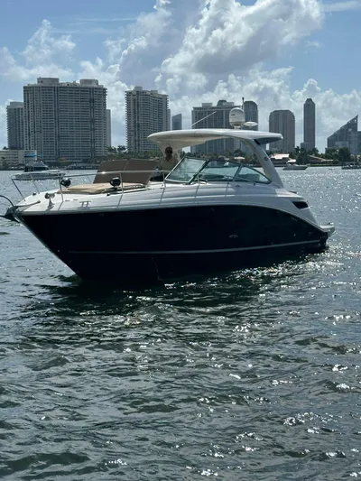 Caledonia II Yacht Photos Pics 2016 Sea Ray 350 Sundancer yacht cruising near city skyline on sunny day.