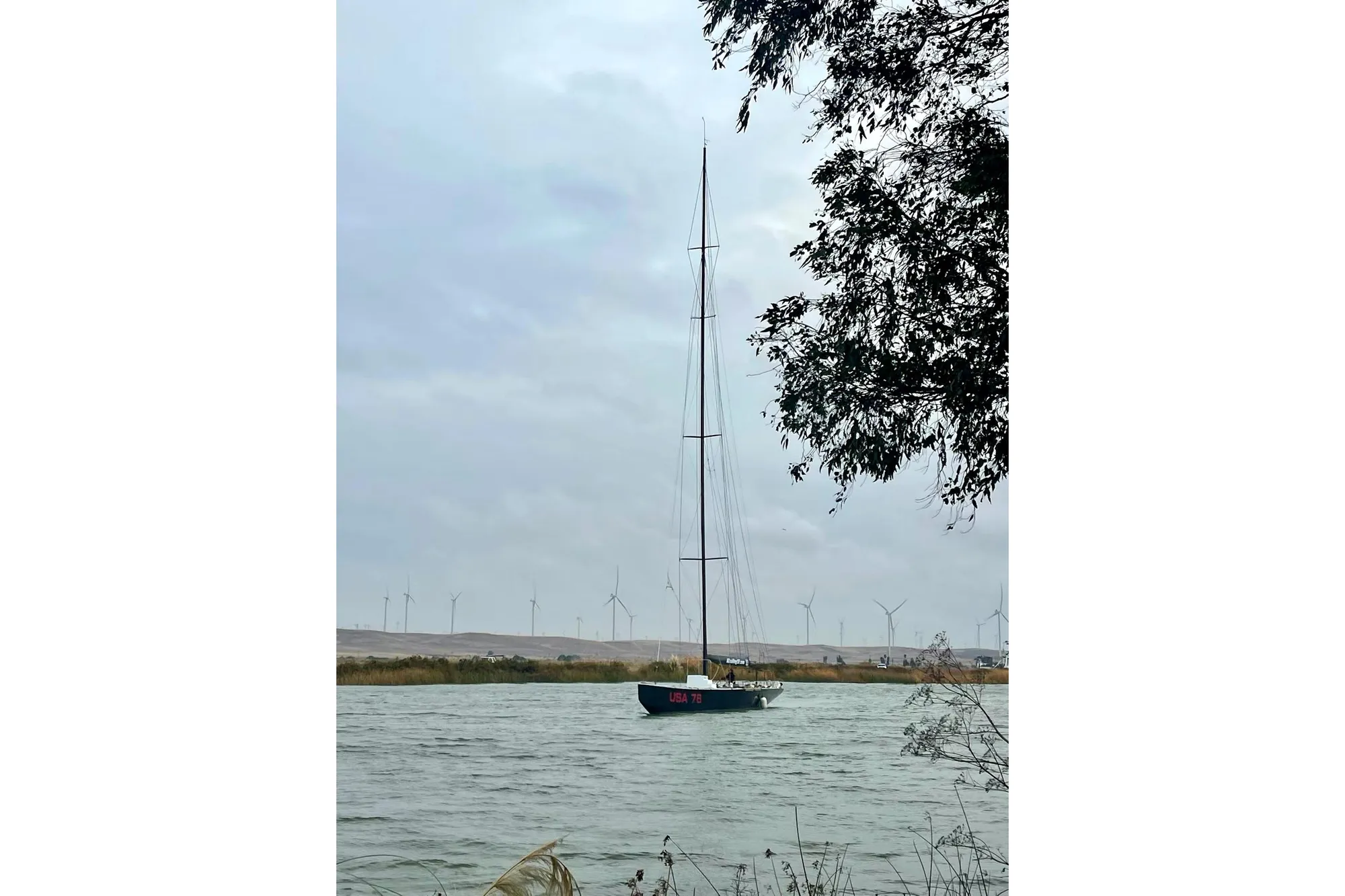 Sailboat on a river with wind turbines in the background, 2002 International Americas Cup Class.