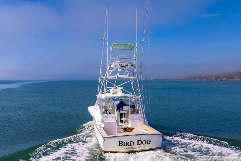 Carry On Yacht Photos Pics 