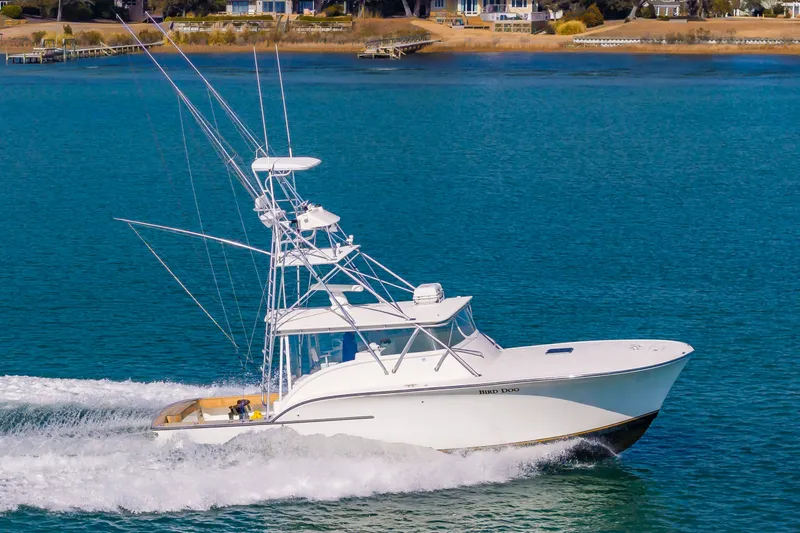 Carry On Yacht Photos Pics 