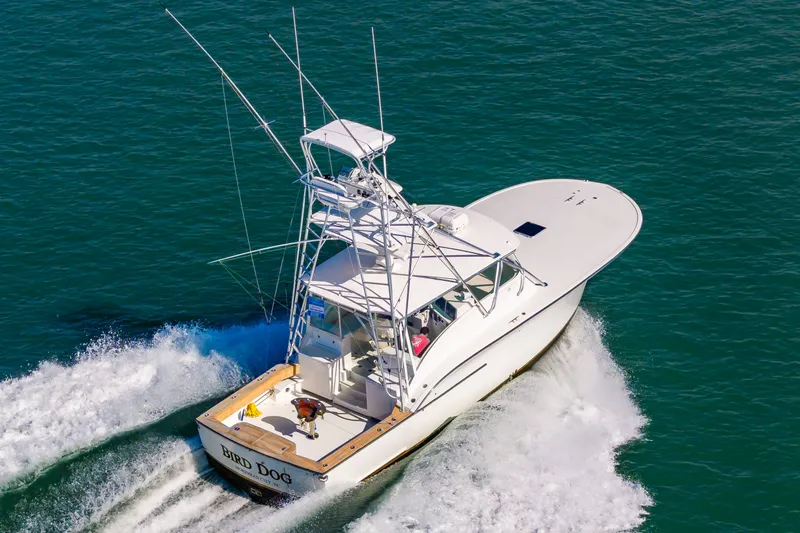 Carry On Yacht Photos Pics 