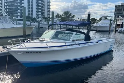 1984 Bertram Express Moppie