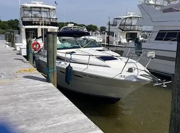 Sea Ray 300 Sundancer