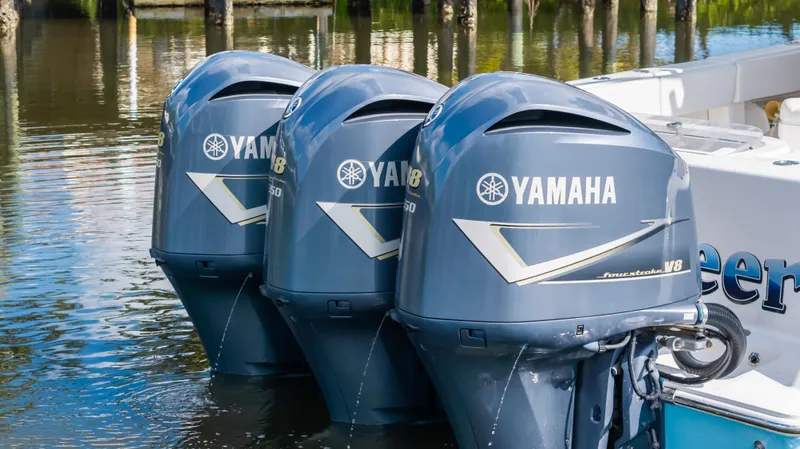 Lost Steer Yacht Photos Pics 