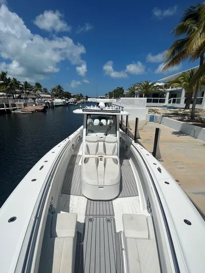  Yacht Photos Pics 2018 Blackwater 43 boat docked by palm trees under a clear blue sky.