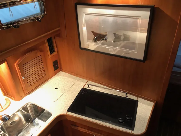 Bad Dog Yacht Photos Pics 2002 Sabre 36 Flybridge kitchen with sink, stove, and framed artwork.