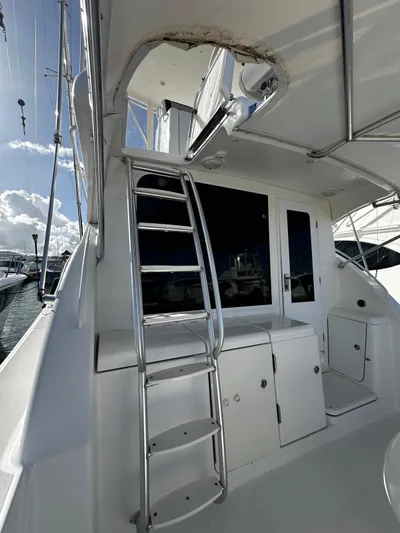  Yacht Photos Pics 2006 Tiara Yachts 3900 Convertible, exterior view with ladder and cabin entrance.