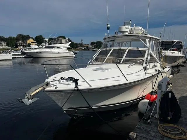 Reel Addiction Yacht Photos Pics 