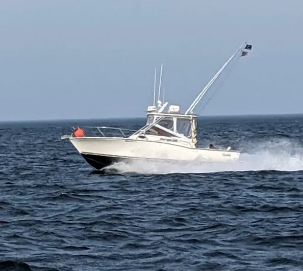 Reel Addiction Yacht Photos Pics 