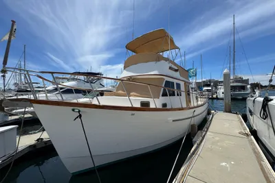 Monk Monk 36