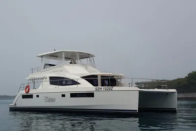 Leopard Leopard 51
