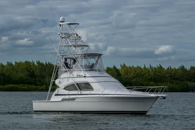 2001 Bertram 390