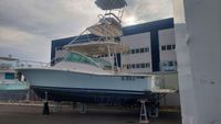 2004 Luhrs Tournament 400 Open