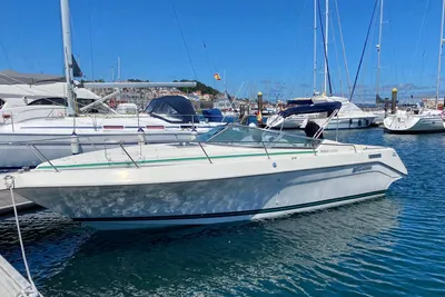 1993 Cruisers Rogue 2530