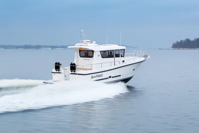 Sargo 31