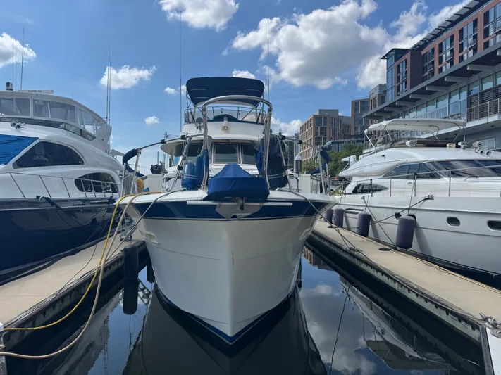 True North Yacht Photos Pics 