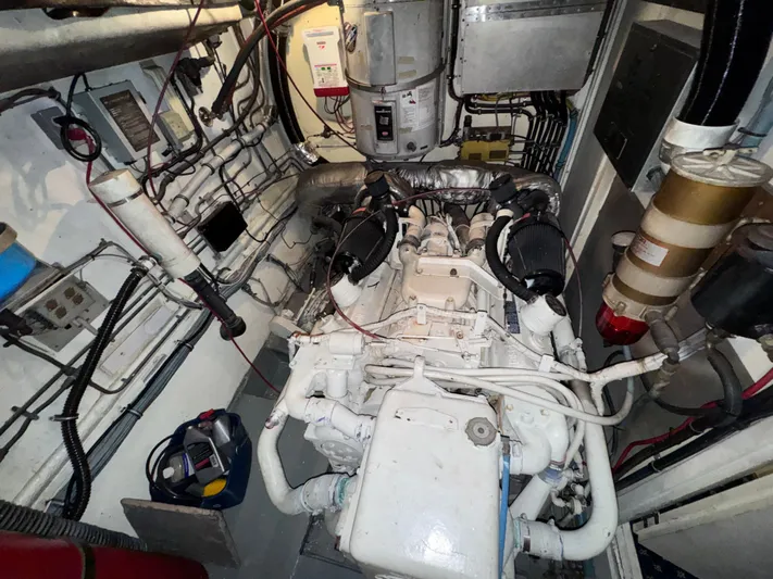 True North Yacht Photos Pics 