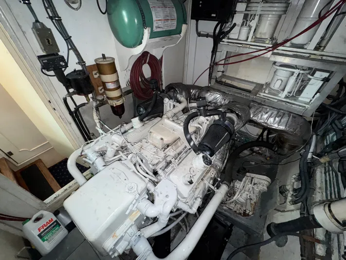 True North Yacht Photos Pics 