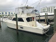 1989 Viking Conv Sport Fisher