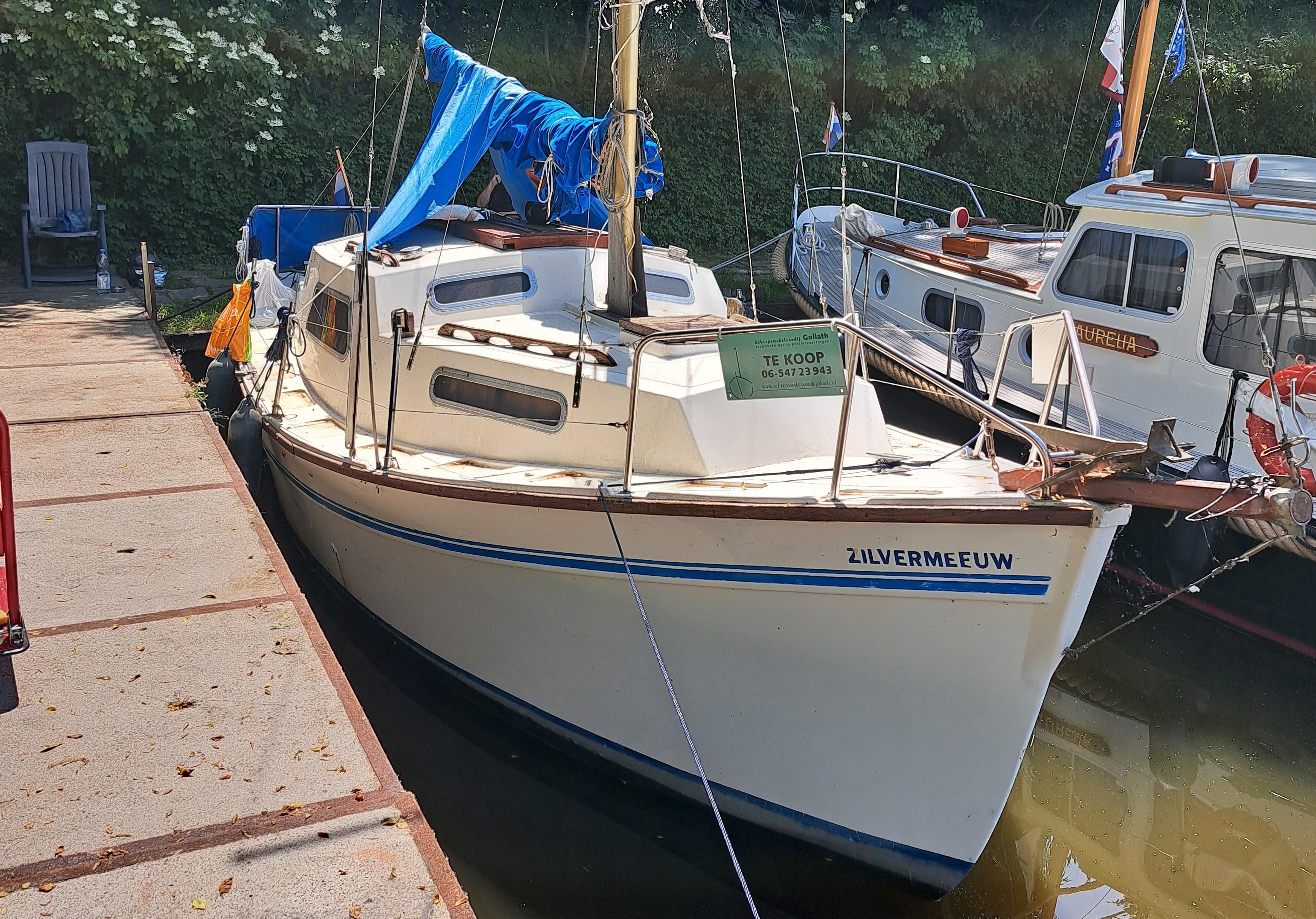 Seamaster 800 Sailer image