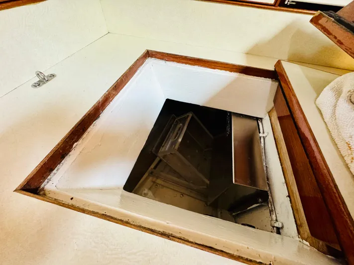 Surprise Yacht Photos Pics 