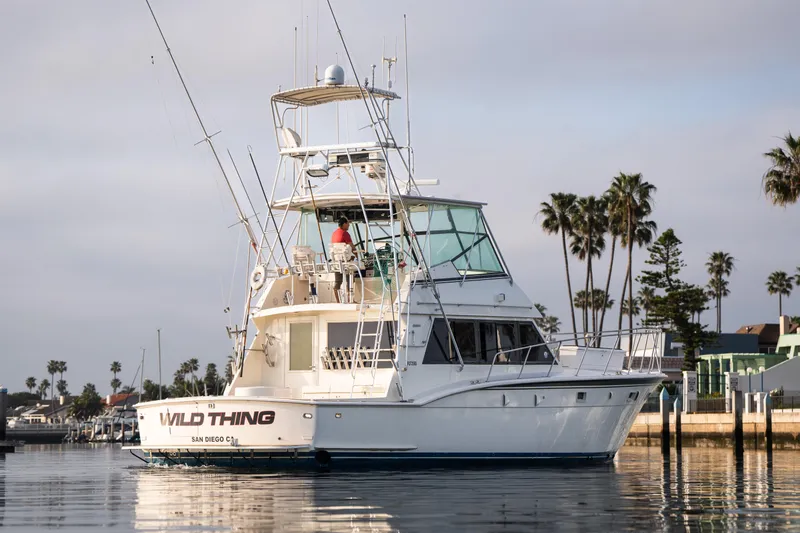 Wild Thing Yacht Photos Pics 