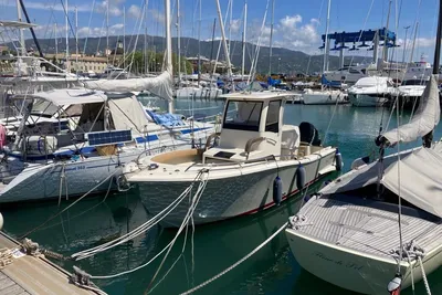 2020 Tuccoli T 250 capraia