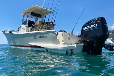 2020 Tuccoli T 250 capraia