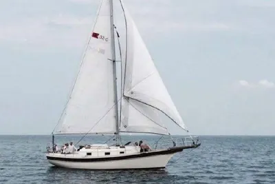 Bayfield 32
