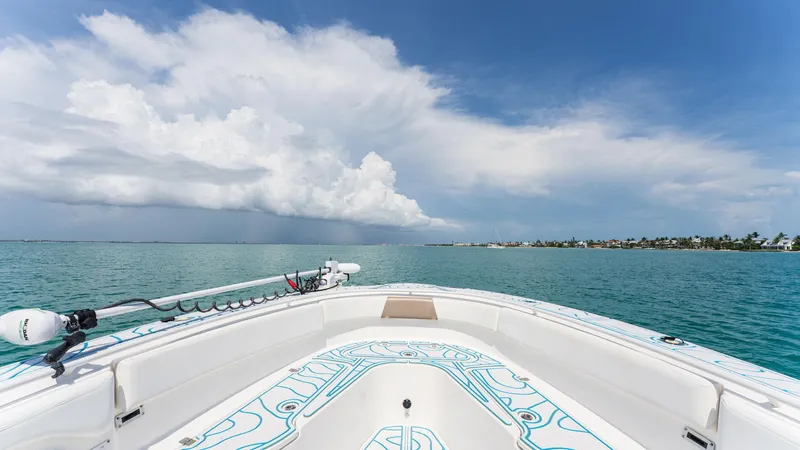  Yacht Photos Pics 2016 EDGEWATER 368 CC - Image 36