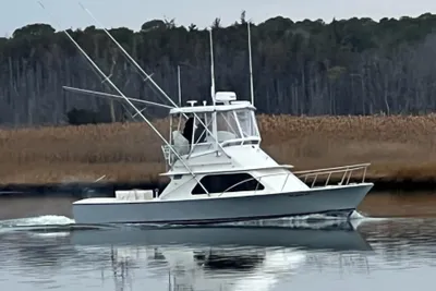 Blackfin 32 Flybridge