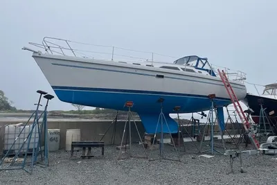 Catalina 380