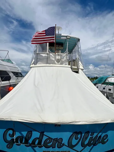 Golden Olive Yacht Photos Pics 