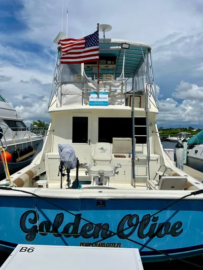 Golden Olive Yacht Photos Pics 