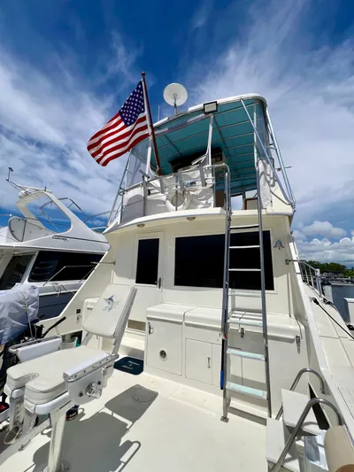 Golden Olive Yacht Photos Pics 