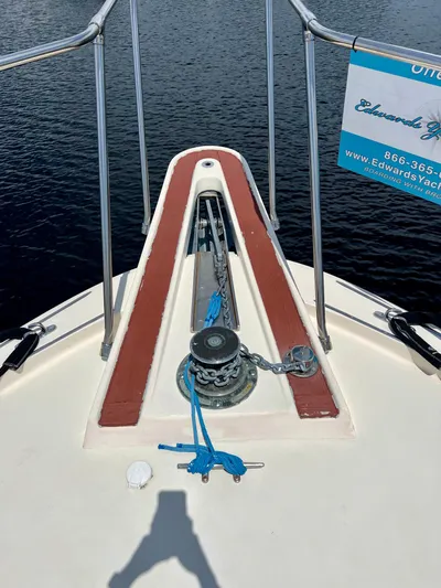 Golden Olive Yacht Photos Pics 