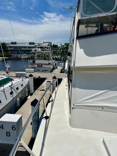 Golden Olive Yacht Photos Pics 