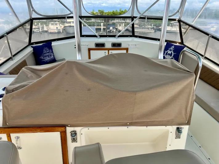 Golden Olive Yacht Photos Pics 