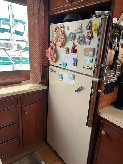 Golden Olive Yacht Photos Pics 