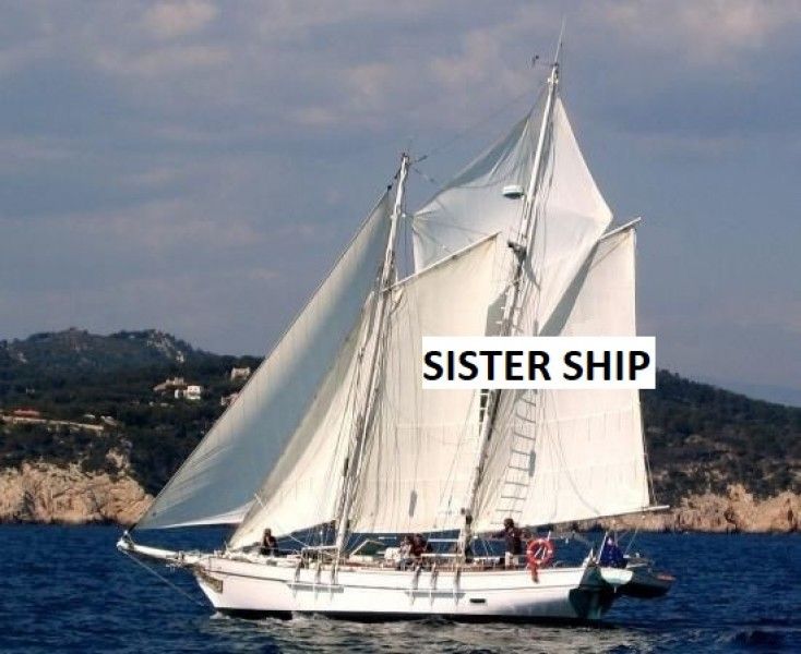 1982 EATN SCHPOUNZ 38 40