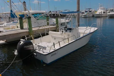 Boston Whaler 210 Montauk