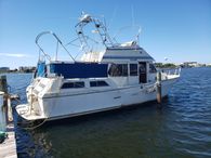 1985 PT 35 Sundeck