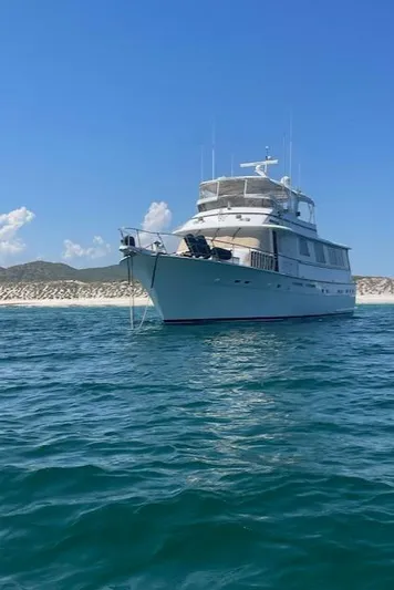 Ave Marina Yacht Photos Pics 