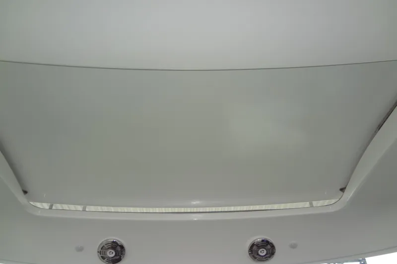 Dream Catcher Yacht Photos Pics 2010 Formula 45 Yacht interior ceiling with built-in speakers.