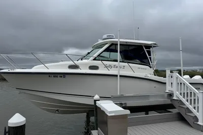 Boston Whaler 315 Conquest