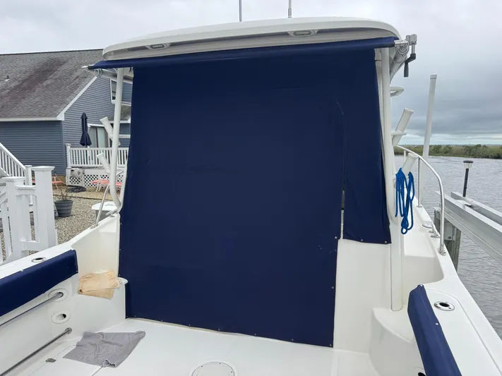  Yacht Photos Pics 2019 Boston Whaler 315 Conquest boat with blue canvas cover, docked near waterfront homes.