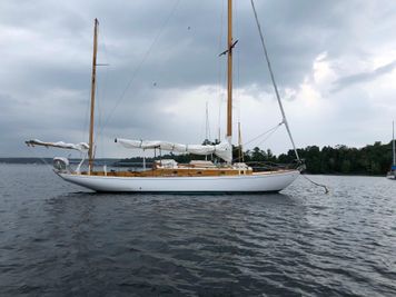Concordia 39