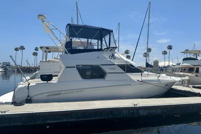 Silverton 351